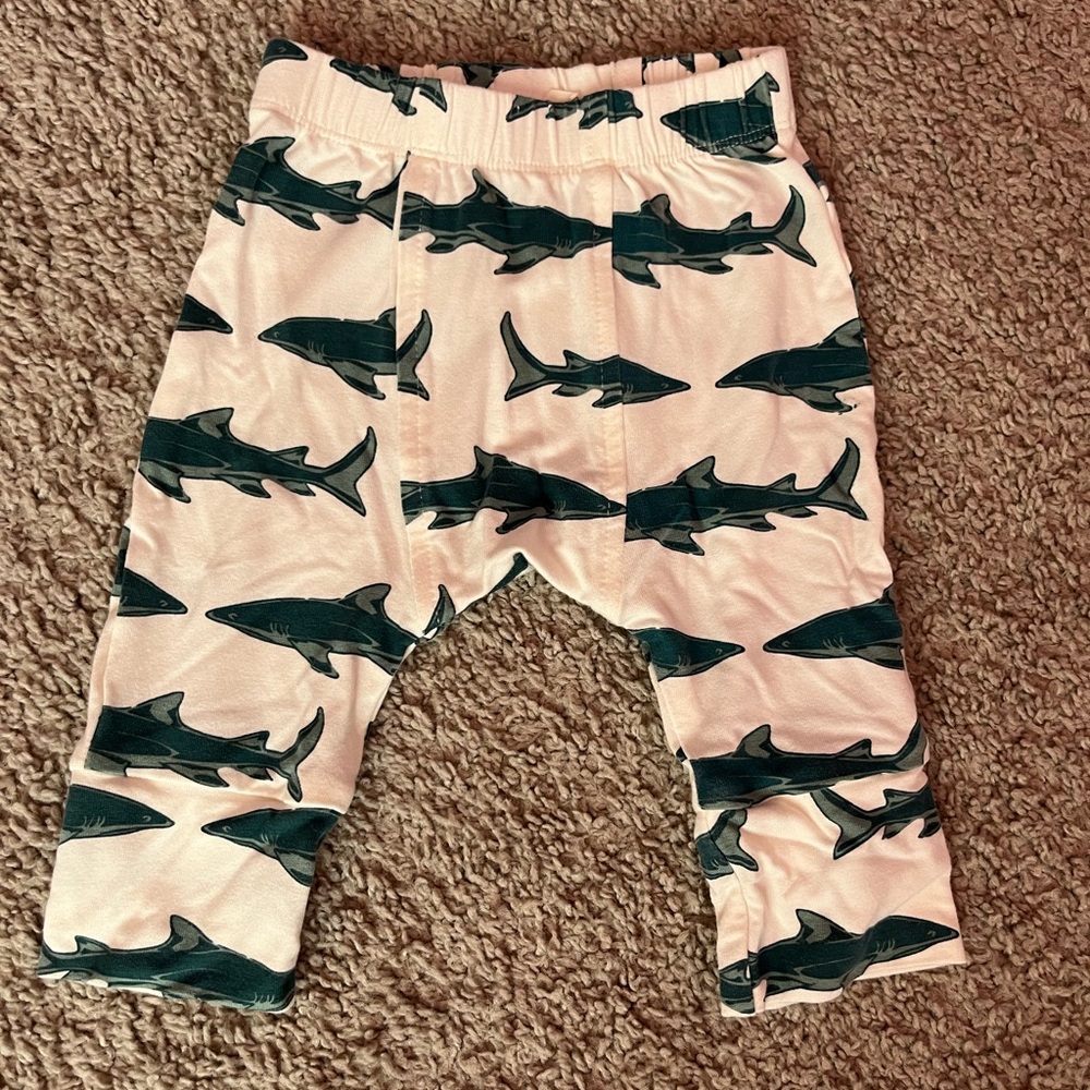 Kate Quinn adorable pants in a shark print